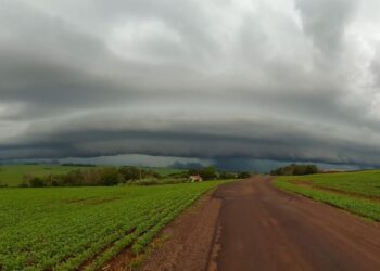 Simepar alerta para novos temporais nos próximos dias; Defesa Civil orienta cuidados