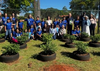 Projeto de Educação Financeira transforma aprendizagem na Escola Manoel da Nóbrega