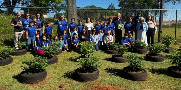 Projeto de Educação Financeira transforma aprendizagem na Escola Manoel da Nóbrega