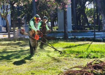 Prefeitura intensifica roçadas em espaços públicos e fiscaliza falta de limpeza de terrenos particulares