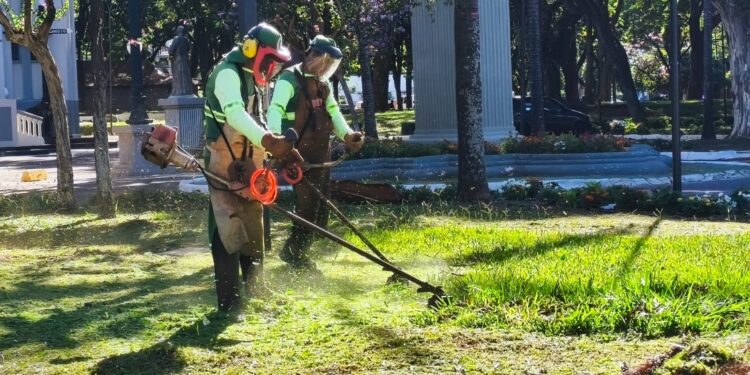Prefeitura intensifica roçadas em espaços públicos e fiscaliza falta de limpeza de terrenos particulares