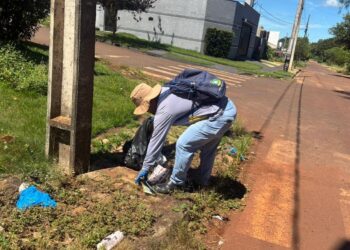 Ação de combate a dengue mobilizou 4 bairros de Campo Mourão