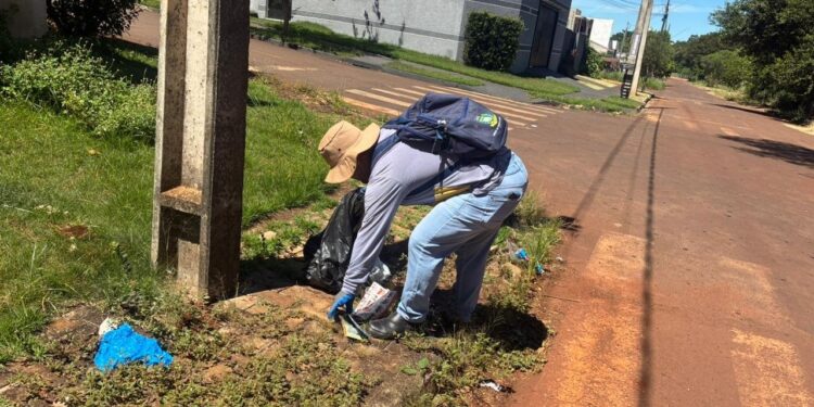 Ação de combate a dengue mobilizou 4 bairros de Campo Mourão