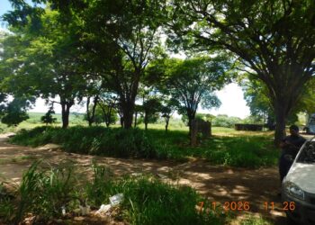 Prefeitura emitiu mais de 1.500 notificações por negligência com limpeza de terrenos em 2025