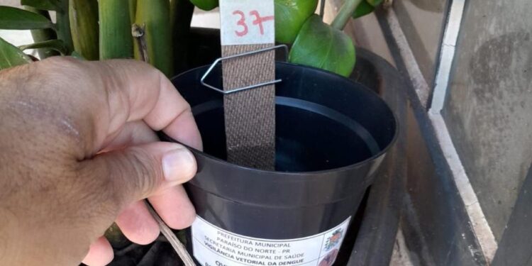 Saúde alerta: dengue está com alto índice em Campo Mourão