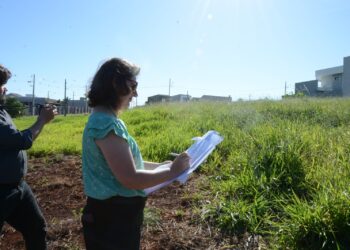 Em um mês, SEMA emitiu 456 notificações por falta de limpeza em terrenos