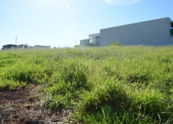 Prefeitura reforça canais da Ouvidoria para denúncias de terrenos sem limpeza
