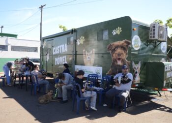 Campo Mourão: Castramóvel terá inscrições neste sábado (28) no Lar Paraná