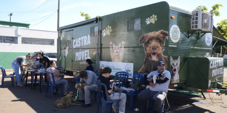 Campo Mourão: Castramóvel terá inscrições neste sábado (28) no Lar Paraná