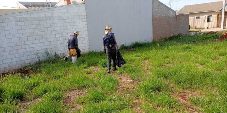 Saúde promove ações simultâneas de educação em saúde e combate à dengue em Campo Mourão