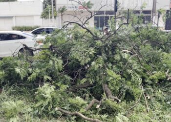 Prefeitura inicia manutenção na Avenida Presidente Kennedy após municipalização