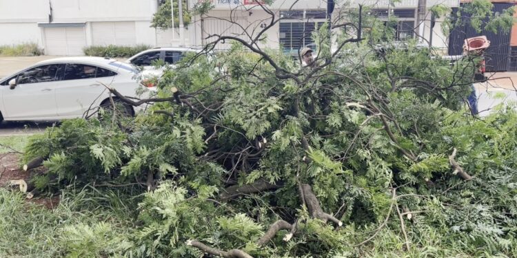 Prefeitura inicia manutenção na Avenida Presidente Kennedy após municipalização