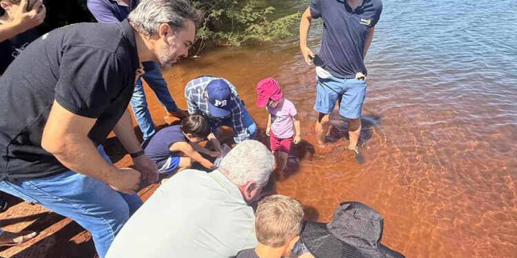 Ação ambiental repovoa Lago da Usina com 15,5 mil peixes em Campo Mourão