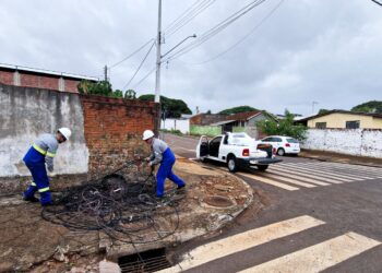 Mutirão começa a retirar fios soltos de postes na região do Lar Paraná, em Campo Mourão