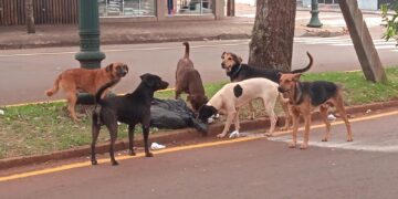 Vamos passear por aí, galera!