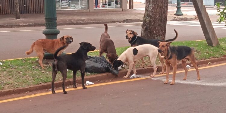 Vamos passear por aí, galera!