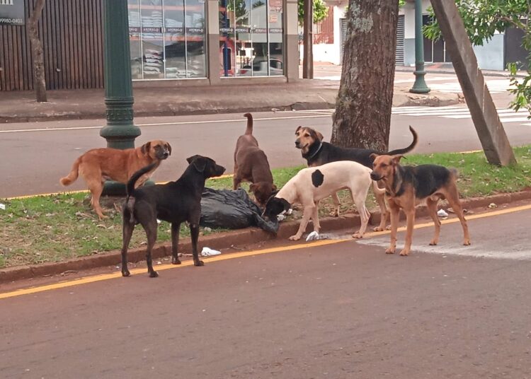 Vamos passear por aí, galera!