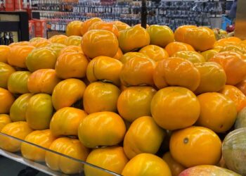 Temporada de caqui: Paraná produz 6 mil toneladas da fruta e exportações aumentam