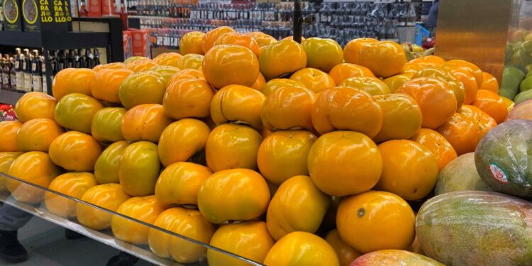 Temporada de caqui: Paraná produz 6 mil toneladas da fruta e exportações aumentam