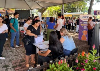Campo Mourão promove 5º Feirão do Emprego e Estágio na próxima quarta-feira (15)