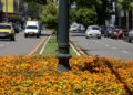 Campo Mourão regulamenta circulação de veículos pesados na área central