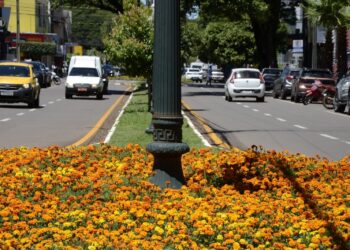 Campo Mourão regulamenta circulação de veículos pesados na área central