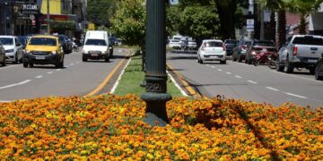 Campo Mourão regulamenta circulação de veículos pesados na área central