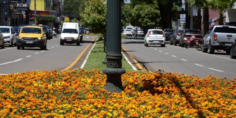 Campo Mourão regulamenta circulação de veículos pesados na área central