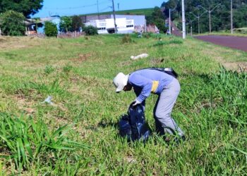 Caminhada ecológica abre programação da Semana do Meio Ambiente em Campo Mourão