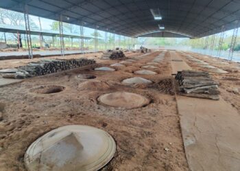 Pavilhão coberto no Parque de Exposições abriga 160 buracos para cozinhar o Carneiro