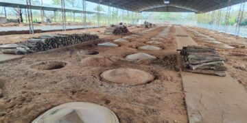 Pavilhão coberto no Parque de Exposições abriga 160 buracos para cozinhar o Carneiro