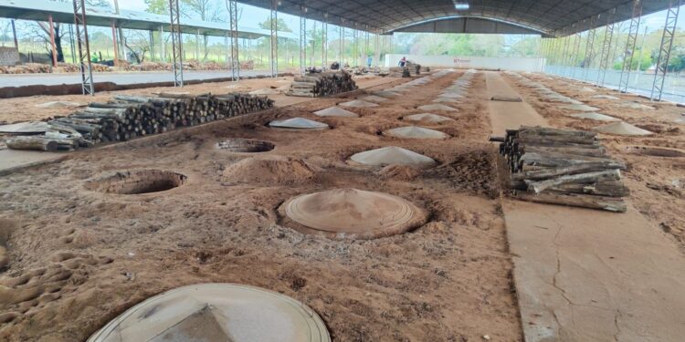 Pavilhão coberto no Parque de Exposições abriga 160 buracos para cozinhar o Carneiro
