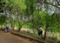 Jardim Paulista recebe ação de conscientização ambiental e mutirão de limpeza neste sábado (1º)