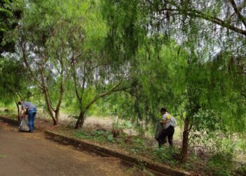 Jardim Paulista recebe ação de conscientização ambiental e mutirão de limpeza neste sábado (1º)