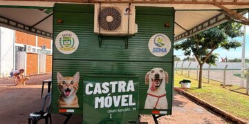 Castramóvel realiza inscrições para castração gratuita de cães e gatos neste sábado (29) em Campo Mourão