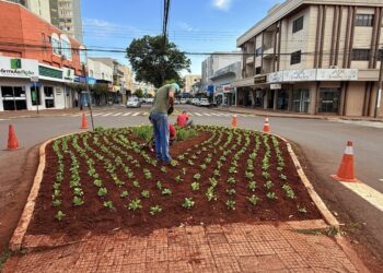 Horto Municipal fortalece paisagismo urbano com produção própria de flores e práticas sustentáveis