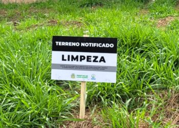 Prefeitura elabora cronograma de notificações para limpeza de terrenos baldios