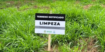Prefeitura elabora cronograma de notificações para limpeza de terrenos baldios