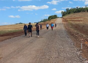 Turismo é celebrado com plantio de árvores no Caminho Iniciático de Santiago de Compostela