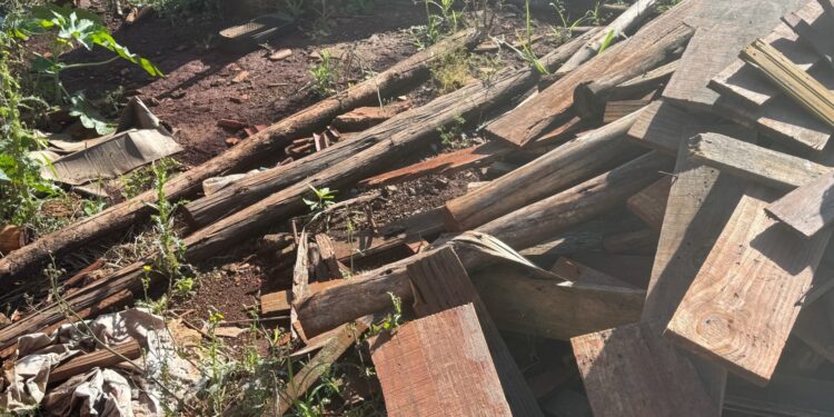 Prefeitura mantém fiscalização de terrenos em todos os bairros de Campo Mourão