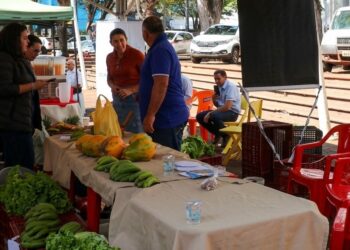 5ª edição do Caminhos da Produção Orgânica é adiada devido à previsão de chuva